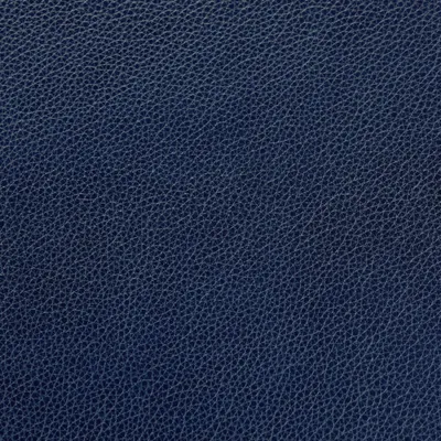 Cambridge Delft Blue swatch