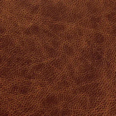 Saloon Whiskey swatch