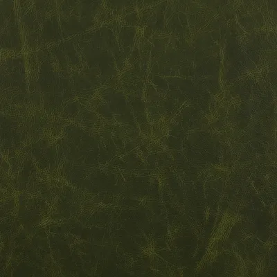 Saloon Spruce swatch