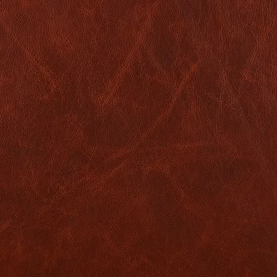 Saloon Nevada swatch