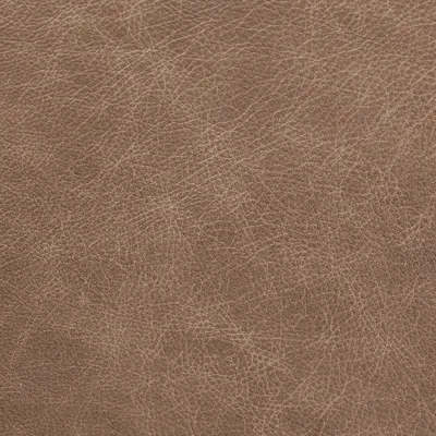 Saloon Mushroom swatch