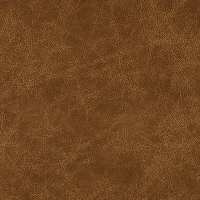Saloon Kodiak swatch