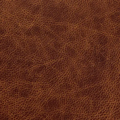 Saloon Whiskey swatch