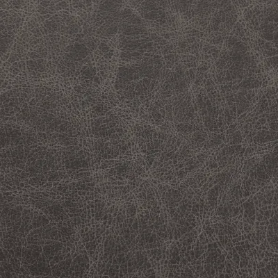 Saloon Grey swatch
