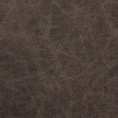 Saloon Grey swatch
