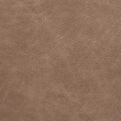 Saloon Hare swatch