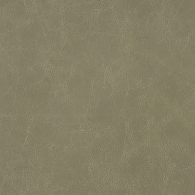 Saloon River Grey swatch