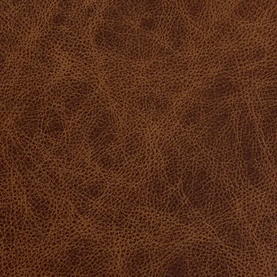 Saloon Rum swatch