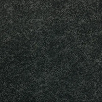 Saloon Winter Lake swatch