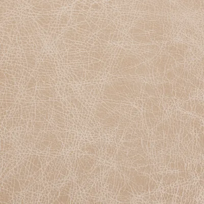 Saloon Blush swatch