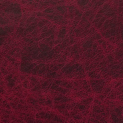 Saloon Garnet swatch
