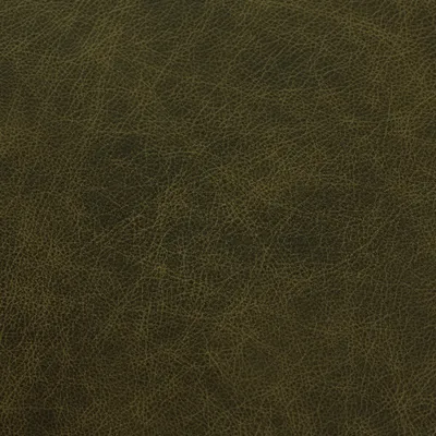 Saloon Green swatch
