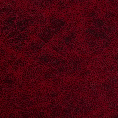 Saloon Oxblood swatch