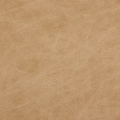 Imvelo Desert swatch