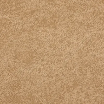 Saloon French Vanilla swatch