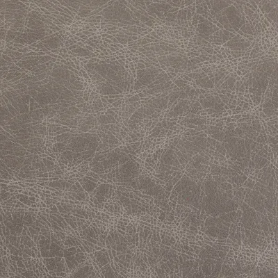 Saloon Fossil swatch
