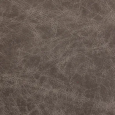 Saloon Fossil swatch