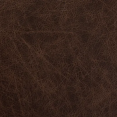 Saloon Cigar swatch