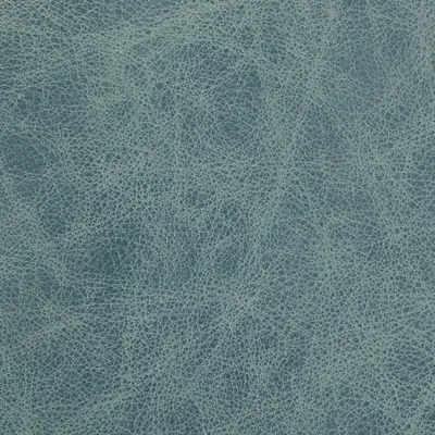 Saloon Cloud Nine swatch