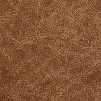 Saloon Tumbleweed swatch