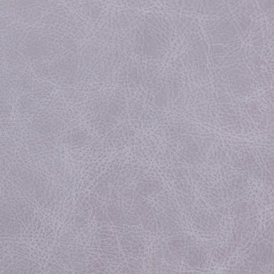 Saloon Coral swatch
