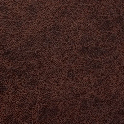 Saloon Dark Brown swatch