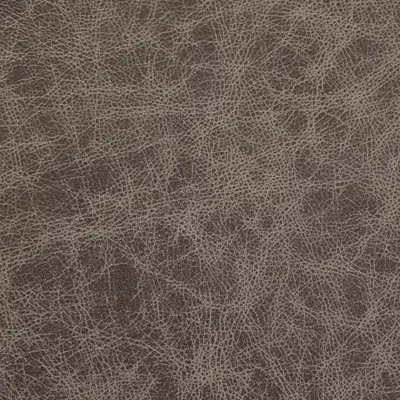 Marula Fossil swatch