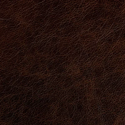 Marula Brown swatch