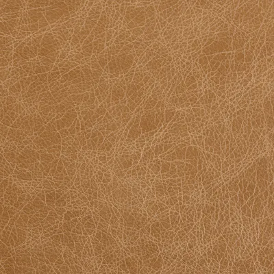 Marula Sand swatch
