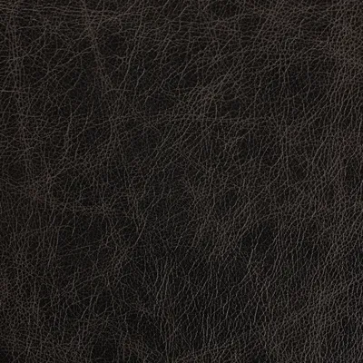 Marula Grey swatch