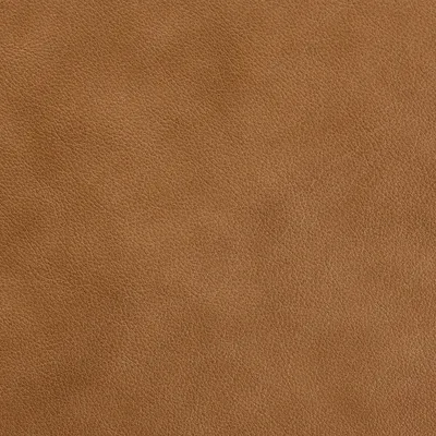 Regent Sand swatch