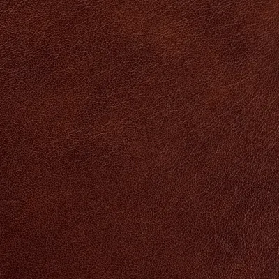 Regent Maple swatch