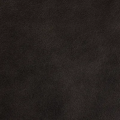 Regent Charcoal swatch