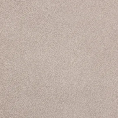 Regent Chalk swatch