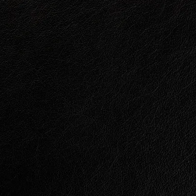 Regent Black swatch