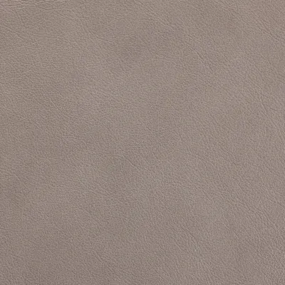 Regent Modern Grey swatch