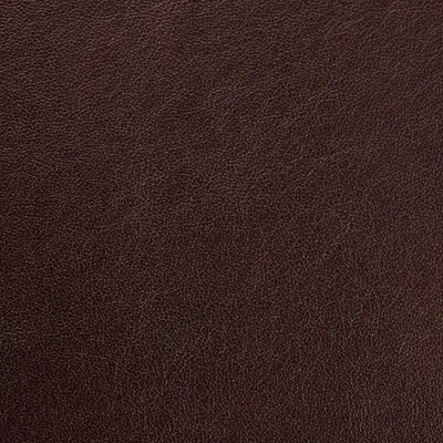 Austen Sable swatch