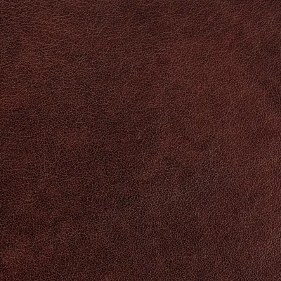 Austen Driftwood swatch