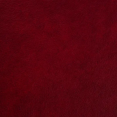 Austen Malbec swatch