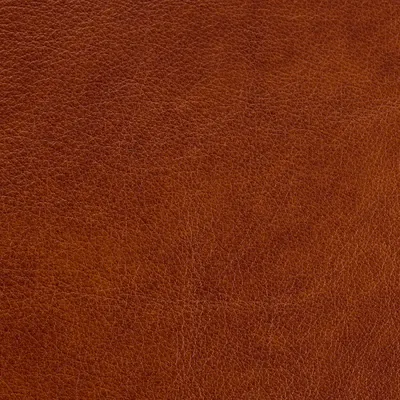 Austen Umber swatch