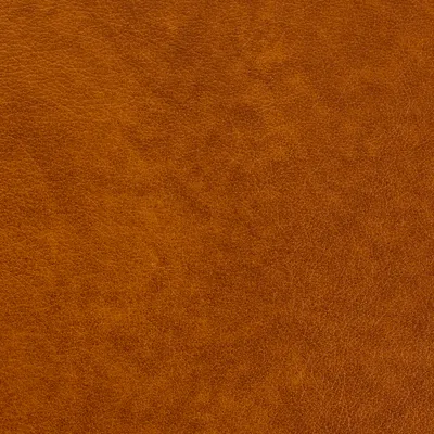 Austen Bourbon swatch