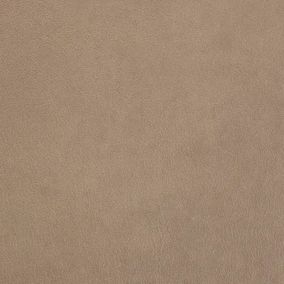 Austen Fawn swatch