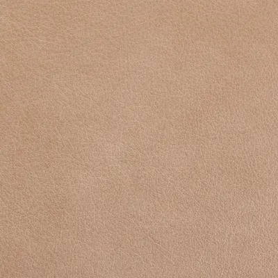 Austen Alabaster swatch