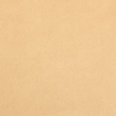 Austen Limestone swatch