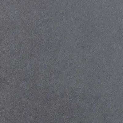 Austen Shark Skin swatch