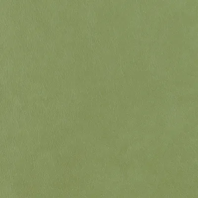Austen Aloe swatch