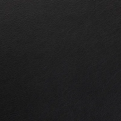 Austen Strong Black swatch