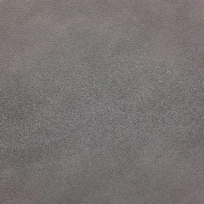 Tempesta Grey swatch