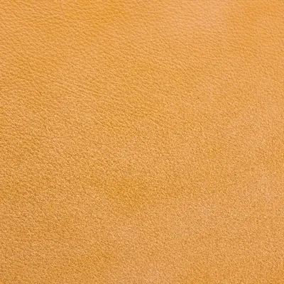 Tempesta Dijon swatch