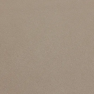Tempesta Taupe swatch